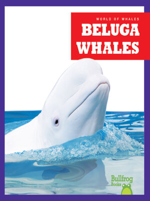 cover image of Beluga Whales